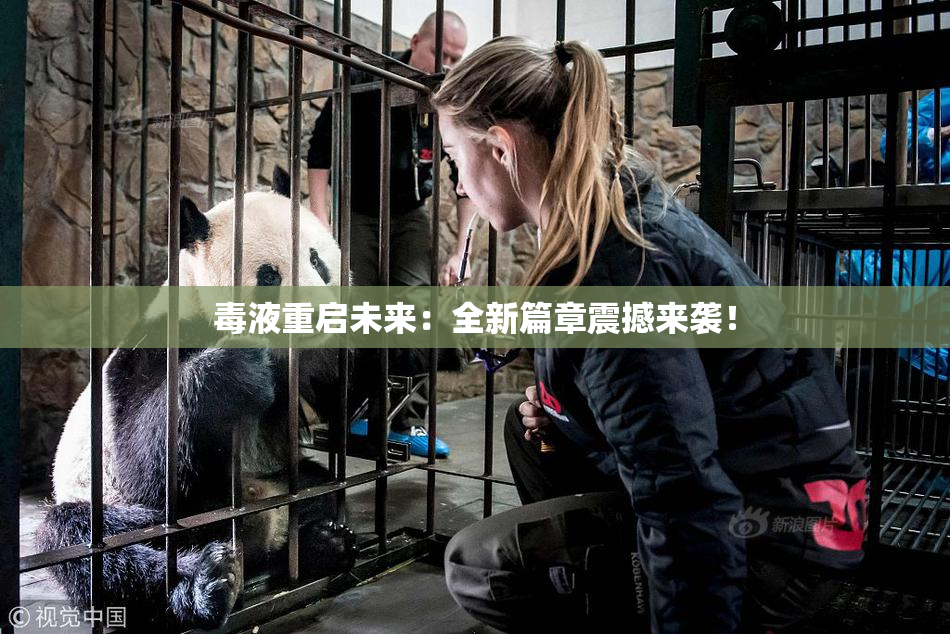 毒液重启未来：全新篇章震撼来袭！