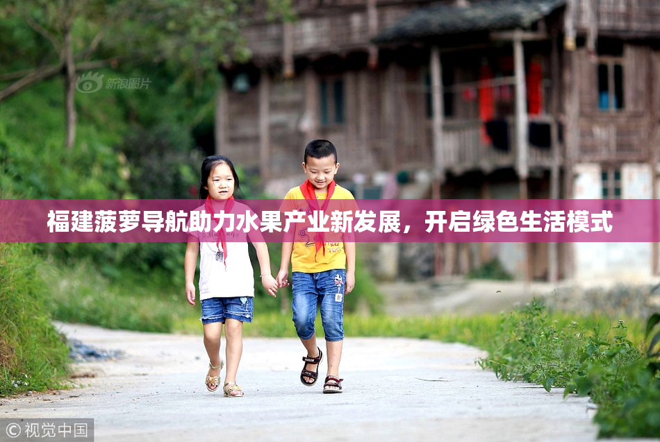 福建菠萝导航助力水果产业新发展，开启绿色生活模式