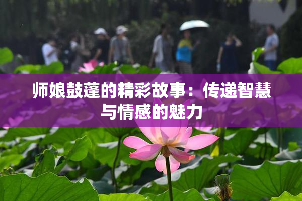 师娘鼓蓬的精彩故事：传递智慧与情感的魅力