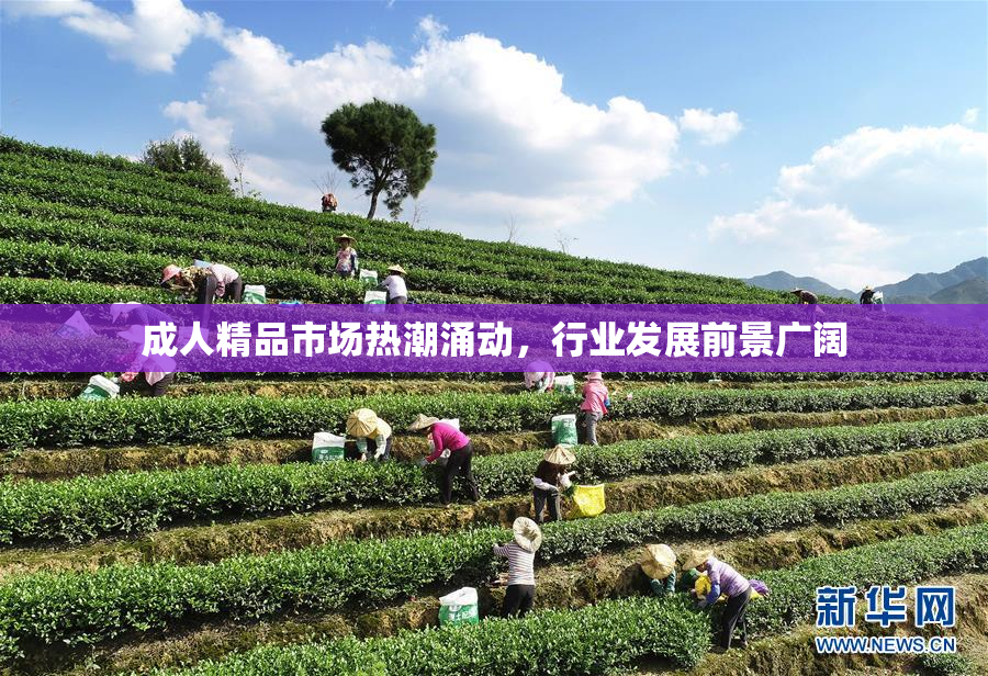 成人精品市场热潮涌动，行业发展前景广阔