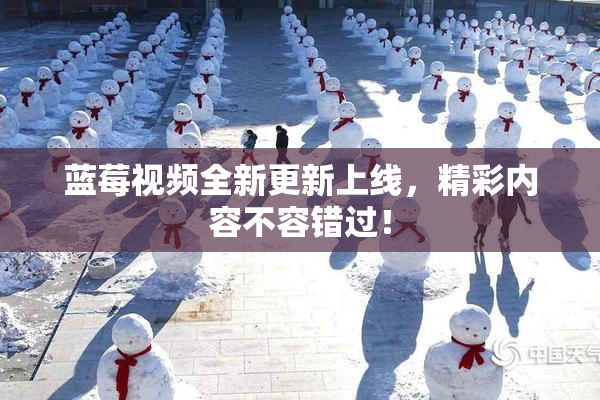 蓝莓视频全新更新上线，精彩内容不容错过！