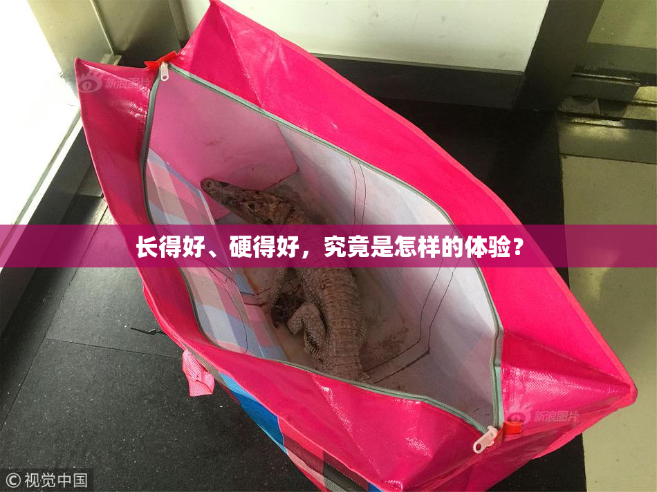 长得好、硬得好，究竟是怎样的体验？