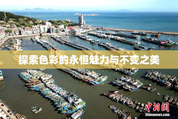 探索色彩的永恒魅力与不变之美