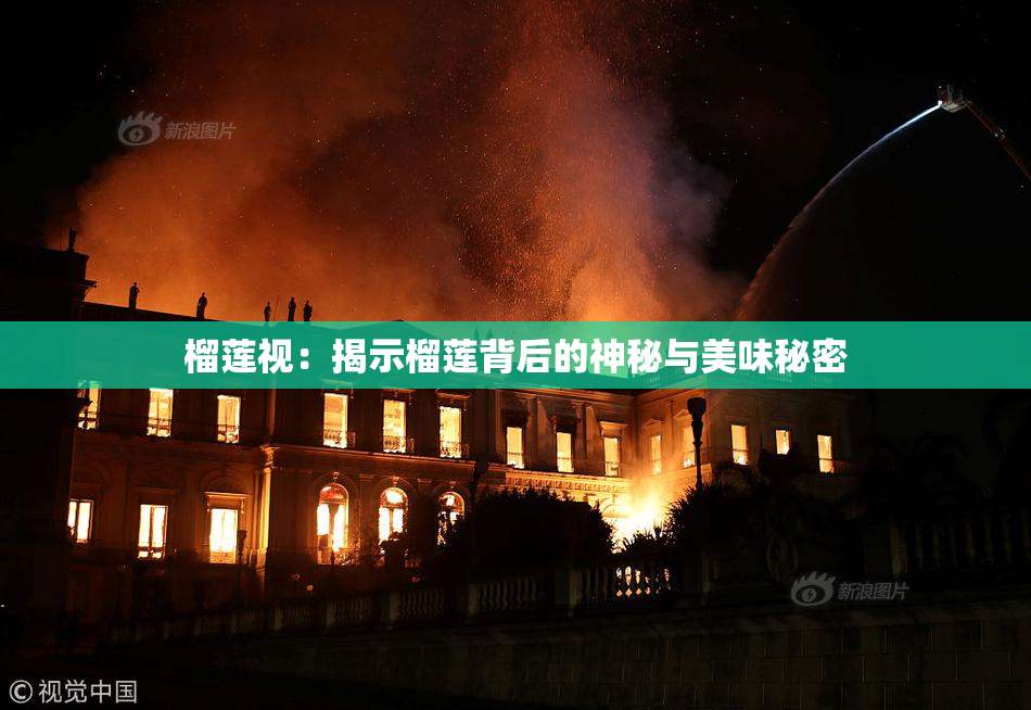 榴莲视：揭示榴莲背后的神秘与美味秘密