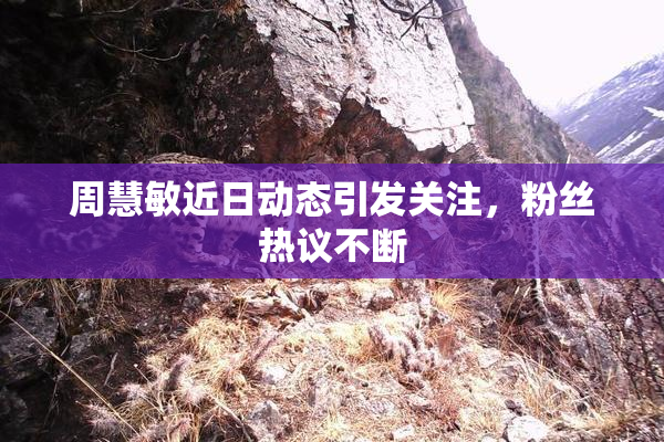 周慧敏近日动态引发关注，粉丝热议不断
