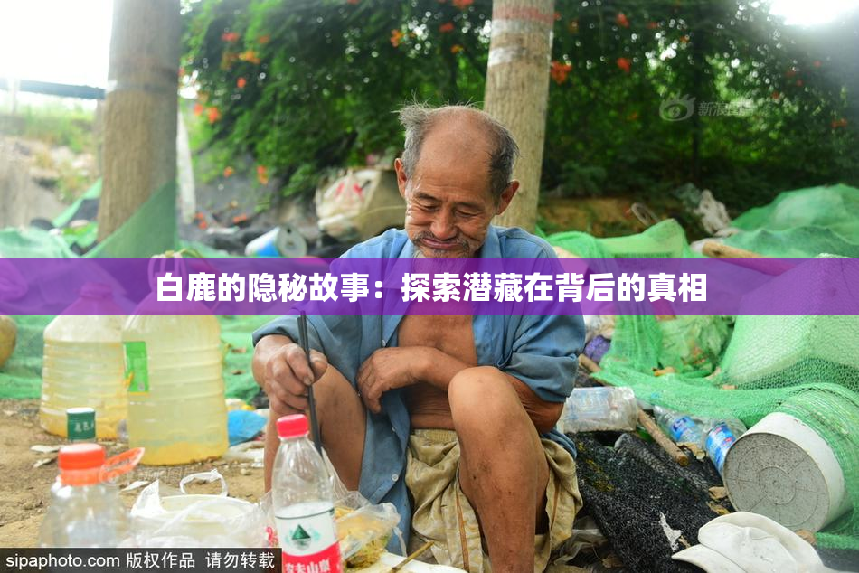 白鹿的隐秘故事：探索潜藏在背后的真相