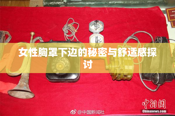 女性胸罩下边的秘密与舒适感探讨