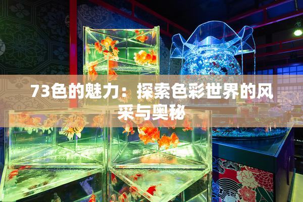 73色的魅力：探索色彩世界的风采与奥秘