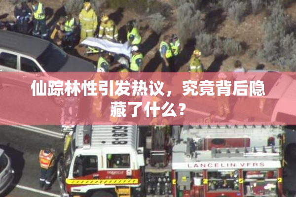 仙踪林性引发热议，究竟背后隐藏了什么？