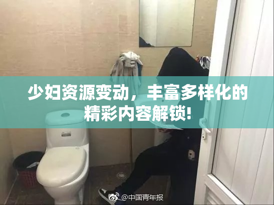 少妇资源变动，丰富多样化的精彩内容解锁!
