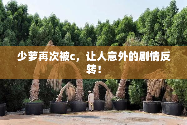 少萝再次被c，让人意外的剧情反转！