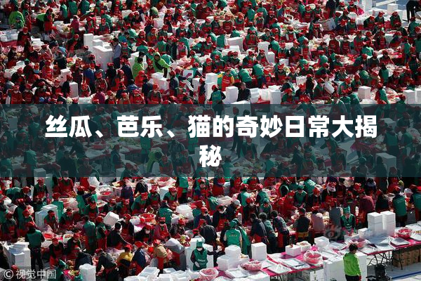 丝瓜、芭乐、猫的奇妙日常大揭秘