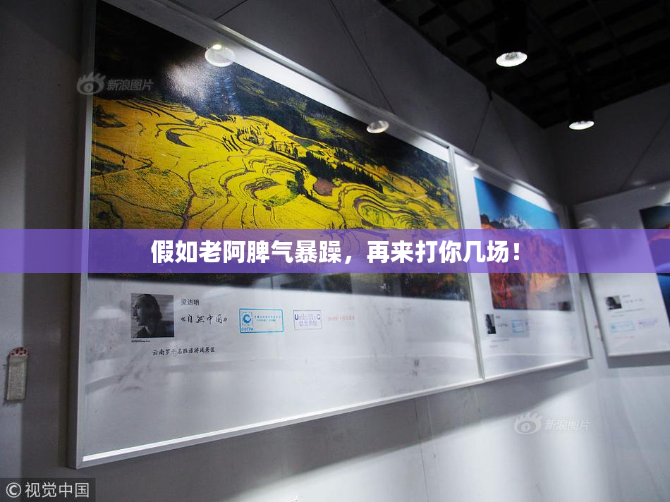 假如老阿脾气暴躁，再来打你几场！