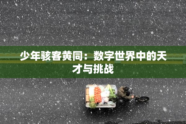 少年骇客黄同：数字世界中的天才与挑战