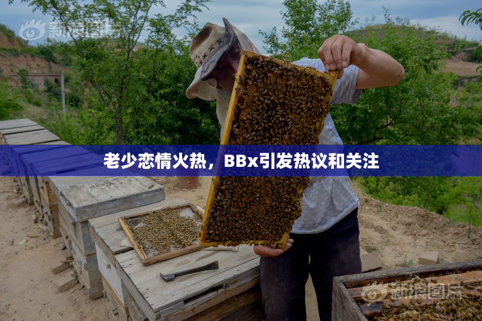 老少恋情火热，BBx引发热议和关注