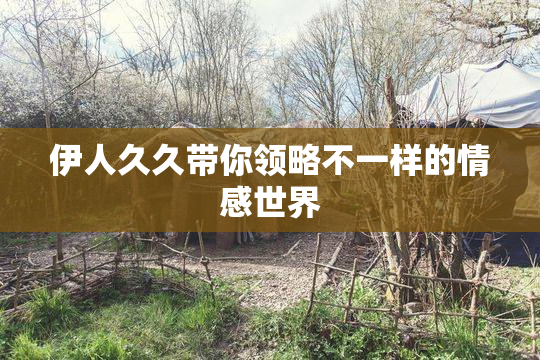 伊人久久带你领略不一样的情感世界