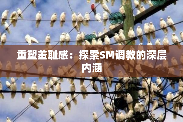 重塑羞耻感：探索SM调教的深层内涵