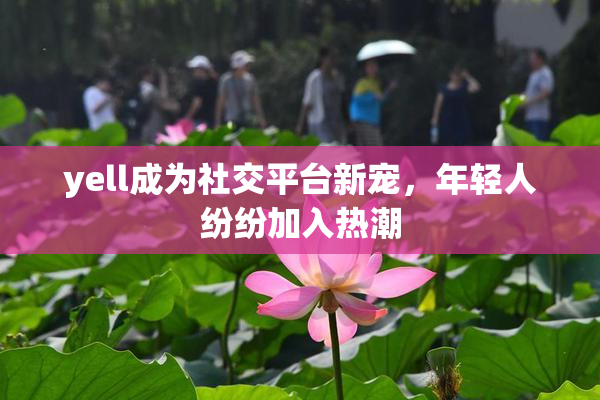 yell成为社交平台新宠，年轻人纷纷加入热潮