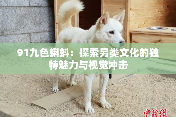 91九色蝌蚪：探索另类文化的独特魅力与视觉冲击
