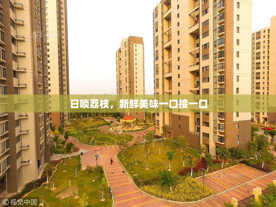 日啖荔枝，新鲜美味一口接一口