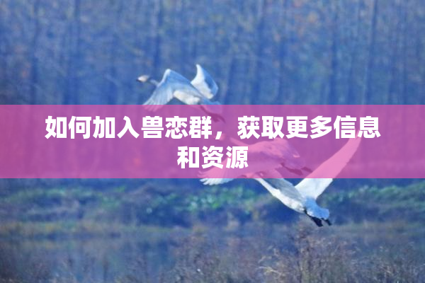 如何加入兽恋群，获取更多信息和资源