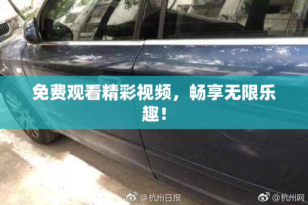 免费观看精彩视频，畅享无限乐趣！