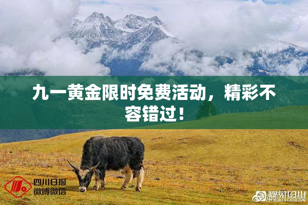 九一黄金限时免费活动，精彩不容错过！