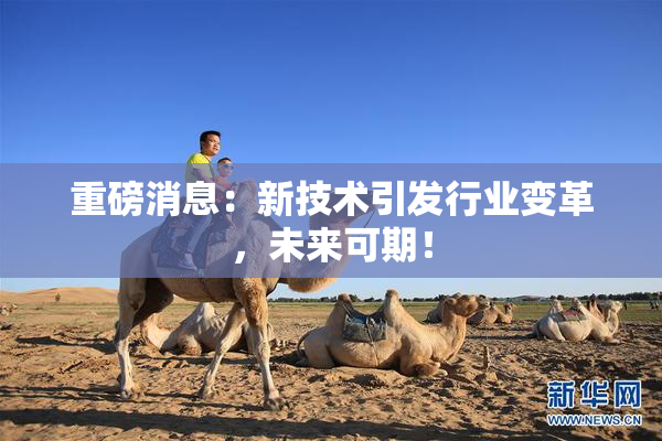重磅消息：新技术引发行业变革，未来可期！