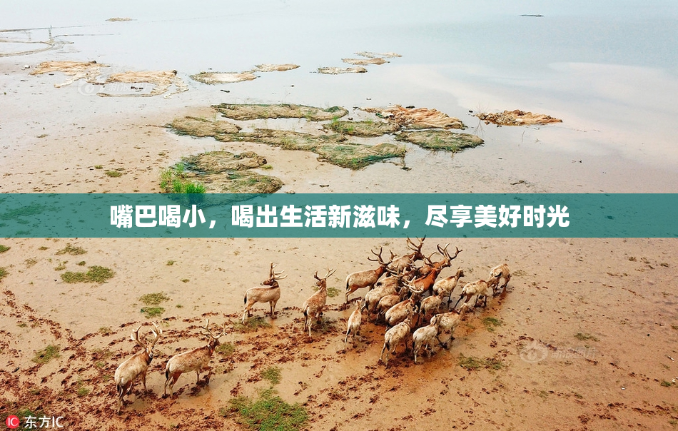 嘴巴喝小，喝出生活新滋味，尽享美好时光