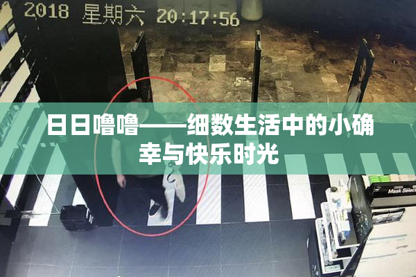 日日噜噜——细数生活中的小确幸与快乐时光