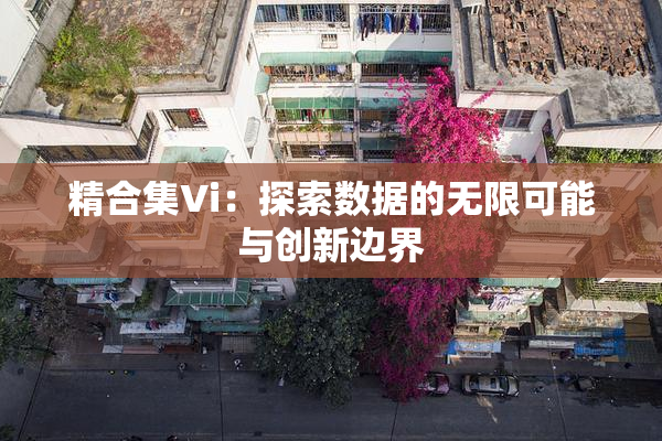 精合集Vi：探索数据的无限可能与创新边界
