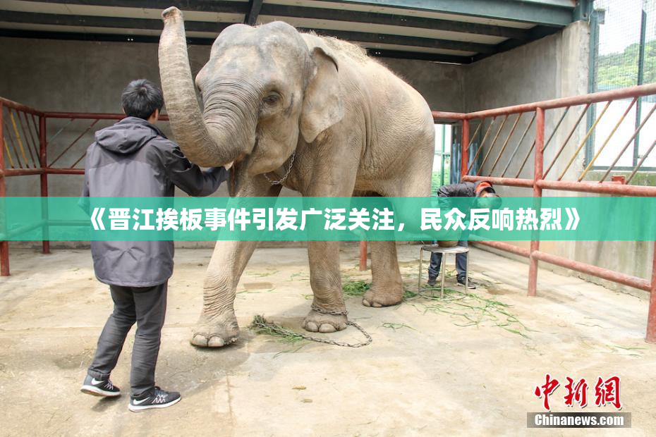 《晋江挨板事件引发广泛关注，民众反响热烈》
