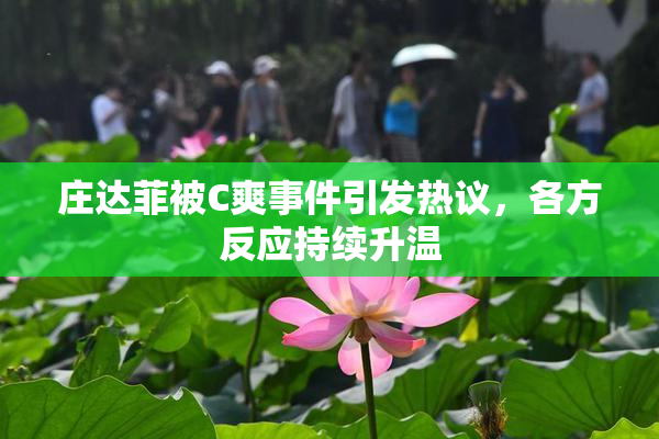 庄达菲被C爽事件引发热议，各方反应持续升温