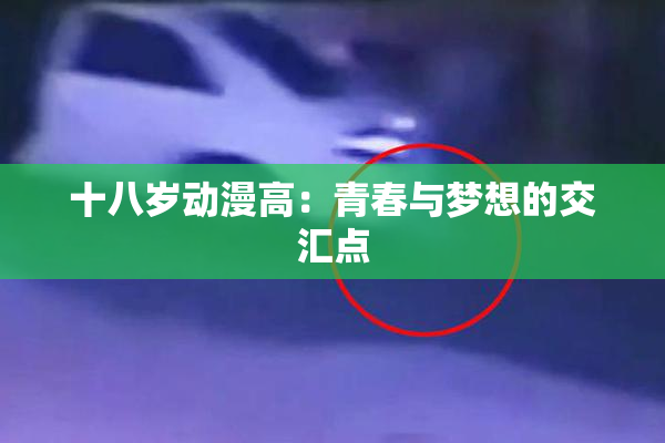 十八岁动漫高：青春与梦想的交汇点