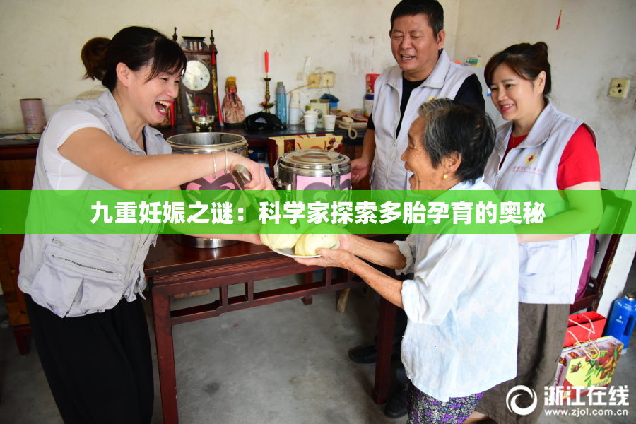 九重妊娠之谜：科学家探索多胎孕育的奥秘