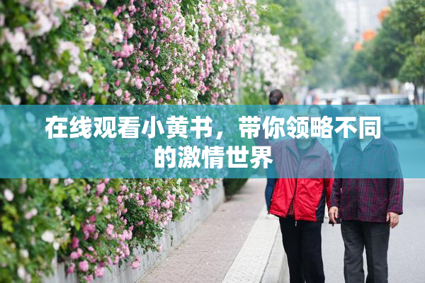 在线观看小黄书，带你领略不同的激情世界