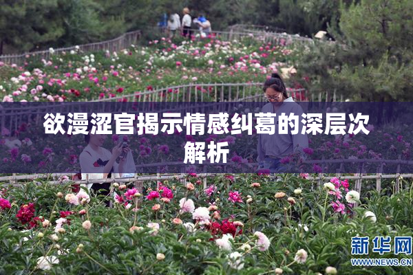 欲漫涩官揭示情感纠葛的深层次解析