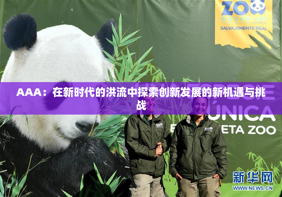 AAA：在新时代的洪流中探索创新发展的新机遇与挑战