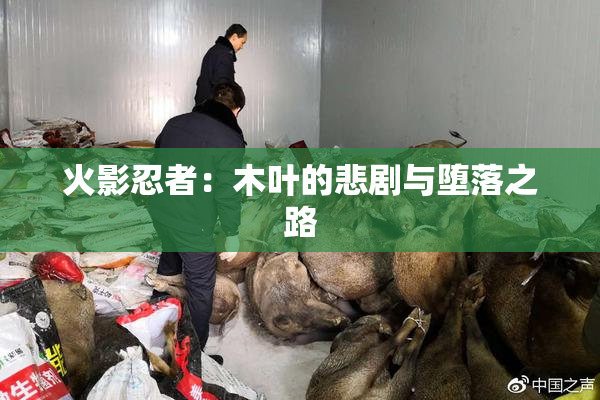 火影忍者：木叶的悲剧与堕落之路