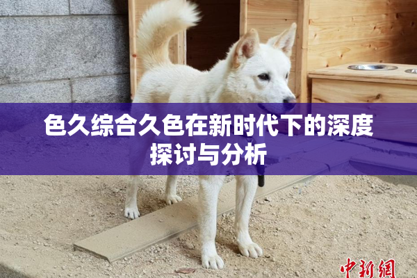 色久综合久色在新时代下的深度探讨与分析