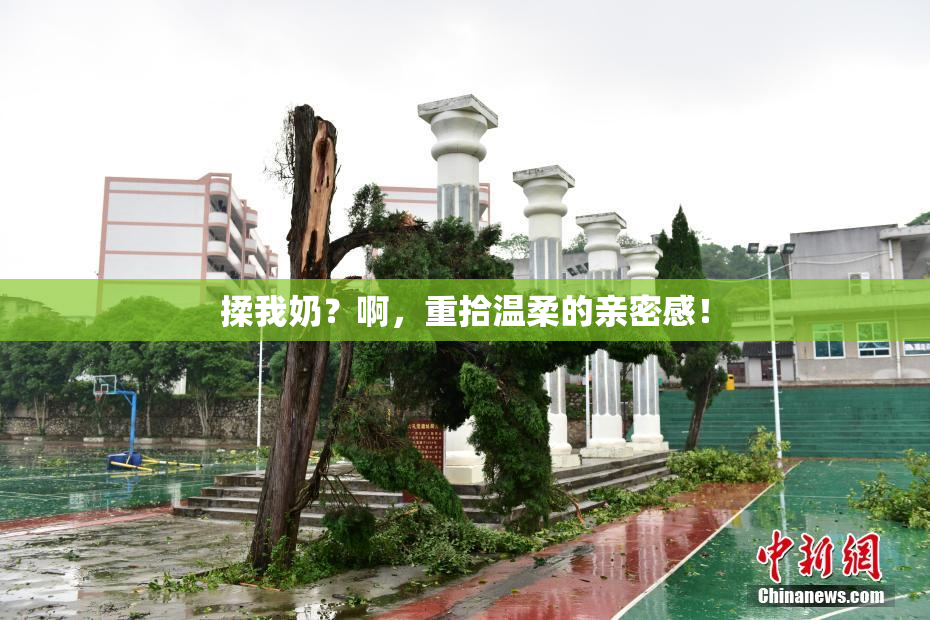 揉我奶？啊，重拾温柔的亲密感！