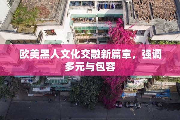 欧美黑人文化交融新篇章，强调多元与包容