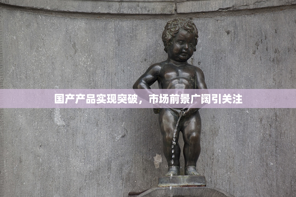 国产产品实现突破，市场前景广阔引关注