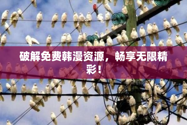 破解免费韩漫资源，畅享无限精彩！