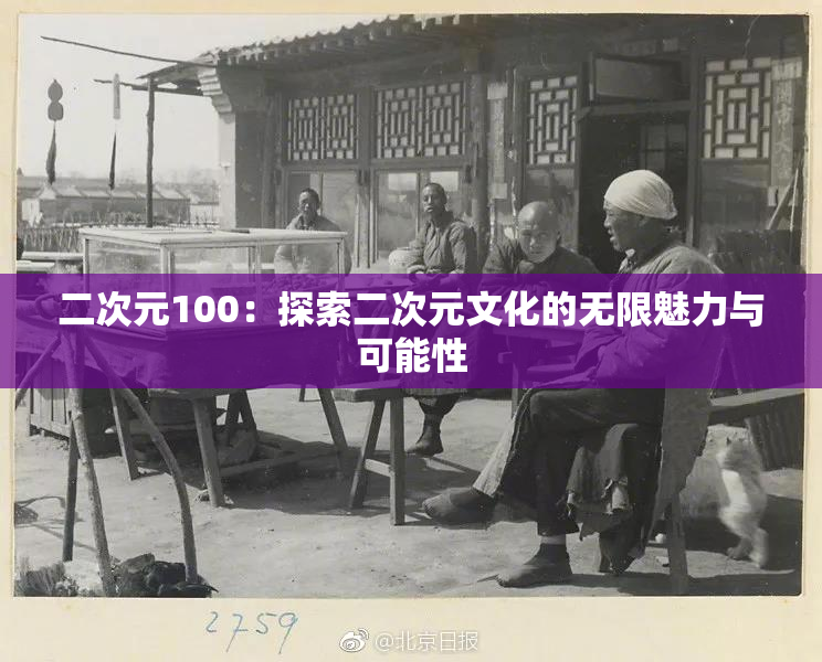 二次元100：探索二次元文化的无限魅力与可能性