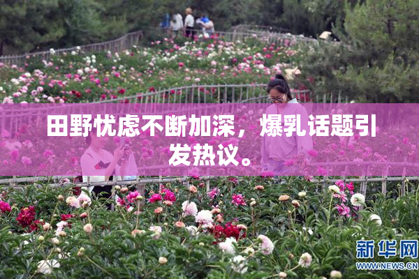 田野忧虑不断加深，爆乳话题引发热议。
