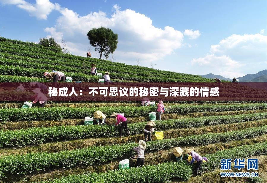 秘成人：不可思议的秘密与深藏的情感