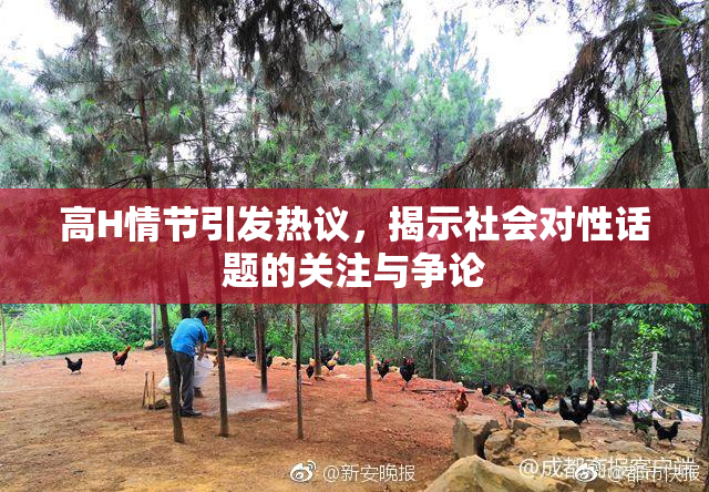高H情节引发热议，揭示社会对性话题的关注与争论