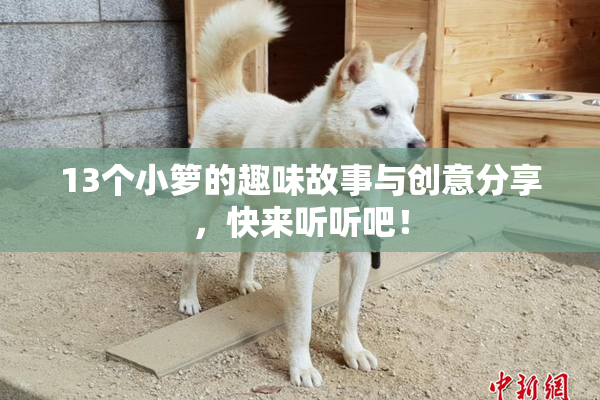 13个小箩的趣味故事与创意分享，快来听听吧！