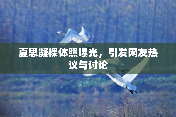 夏思凝裸体照曝光，引发网友热议与讨论